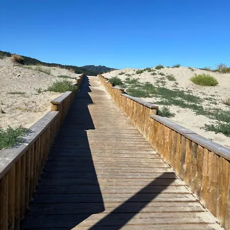 Atico En Primera Linea De Playa