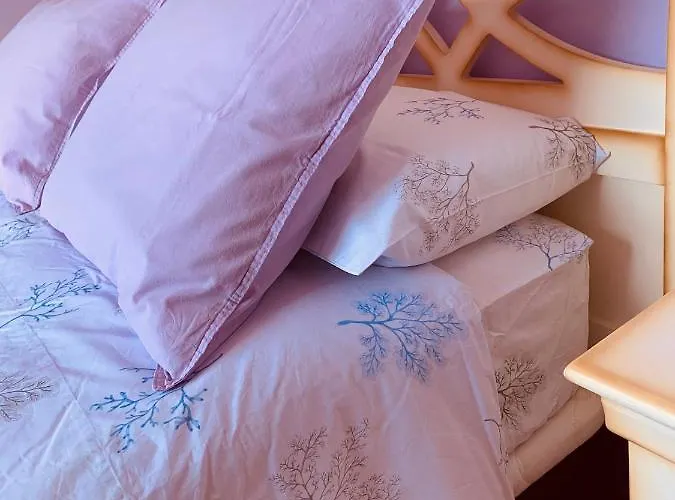 Atico En Primera Linea De Playa Daire *